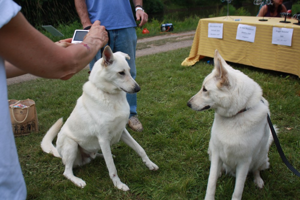Spring 2012 Park, Pool and Tail Waggers 030